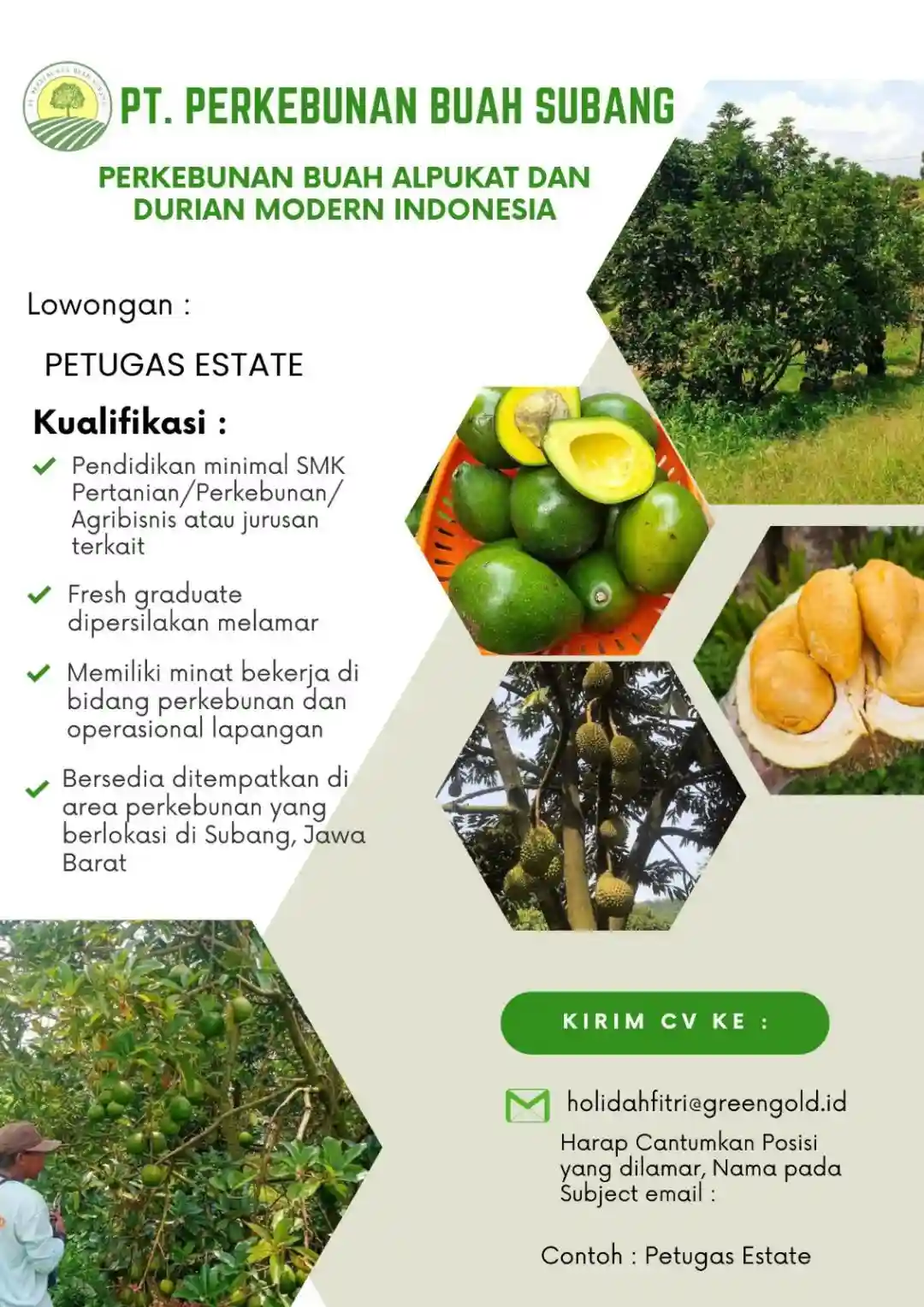 Lowongan Kerja PT Perkebunan Buah Subang Terbaru 2026
